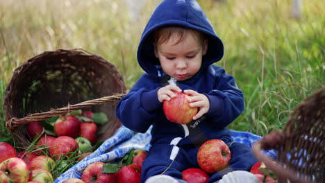 nice cute baby eating red apple sitting on the grass in the garden. adorable toddler sits on a plaid surrounded by fruit. grass at backdrop.