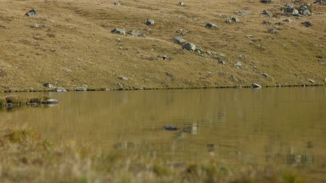 DJI-Air-Futuristische-Quadrocopter-Drohne-Fliegt-Umgeben-Von-Berglandschaft