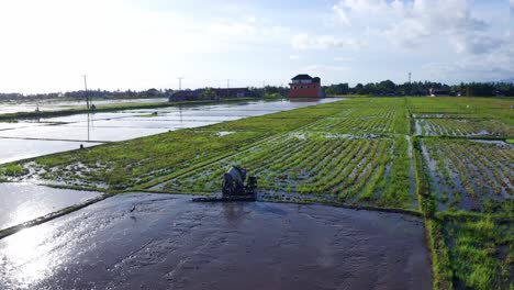 Farmer-Working-In-The-Paddy-Field-Near-The-Highway-With-Motorcycles