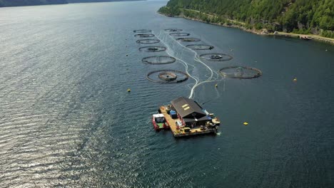 aerial footage farm salmon fishing in norway