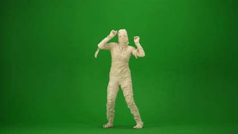 scary mummy wrapped in bandages dances wearing a black hat and sunglasses green screen isolated scary mummy wrapped in bandages dances wearing a black hat and sunglasses green screen chroma key mock up workspace for your promotion clip or advertisement medium size halloween holidays