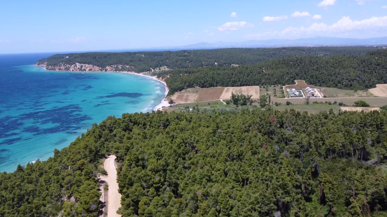 Baia costiera turchese, fitta pineta e terreni agricoli lungo una costa panoramica, vista aerea