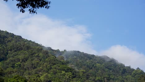 Una-Montaña-Cubierta-De-árboles-Con-Un-Cielo-Nublado-Al-Fondo