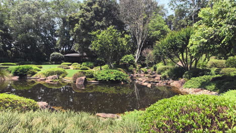 tranquil pond with flowing water, japanese gardens, botanical gardens mt coot-tha brisbane