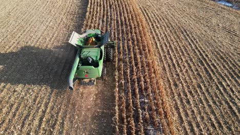 en noviembre, una operación agrícola en ne wisconsin corta y recolecta maíz para ensilaje