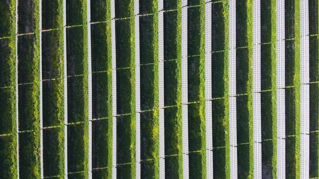 태양광 농장 공중 사진