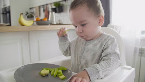 cute baby boy eating avocado slices sitting in high chair in the kitchen 1