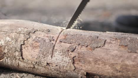 Sawing tree branch with handsaw to prepare campfire on wilderness camp, close up