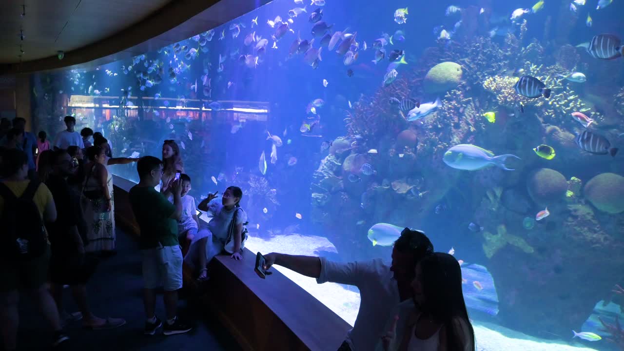 At the Oceanografic within Valencia's City of Arts and Sciences, visitors take photos in the marine fish galleries. It is the largest oceanographic park in Europe, showcasing over 500 species.