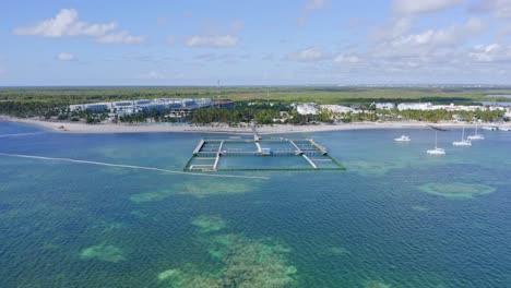 aerial drone approach of dolphin explorer sea attraction, punta cana in dominican republic