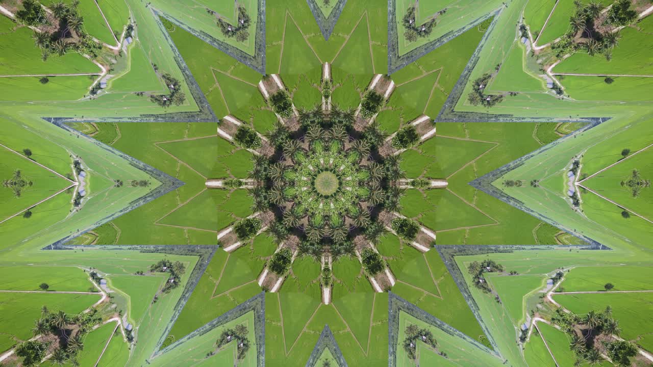 la ilusión del campo de plantas verdes del kaleidoscopio.