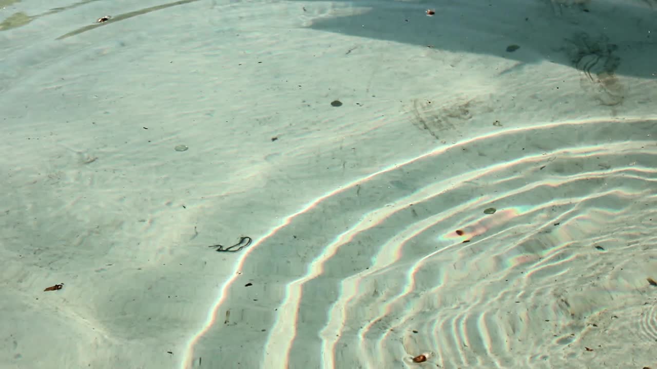 Clear Shallow Water with Ripples and Sunlight Reflections