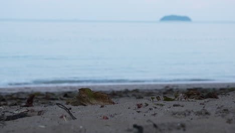 beach scene with calm water and island in the distance