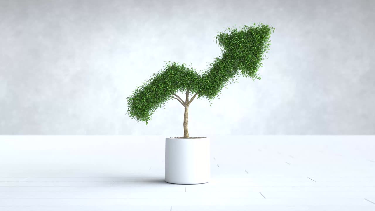 The tree grows shaped like graph, Business and financial concept