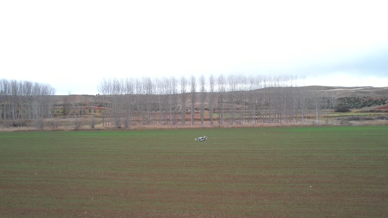Tampilan paralaks udara dari drone pertanian yang menyebarkan urea granul di atas ladang gandum pada hari berawan.