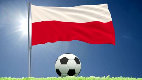 flag of poland fluttering and a football rolls on the lawn, 3d rendering, 4k footage