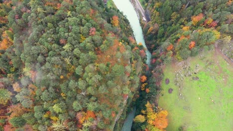 Hermoso-Río-Cañón-En-El-Bosque-De-Otoño,-Vista-Superior