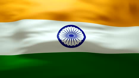 agitando la bandera de la india - bucle