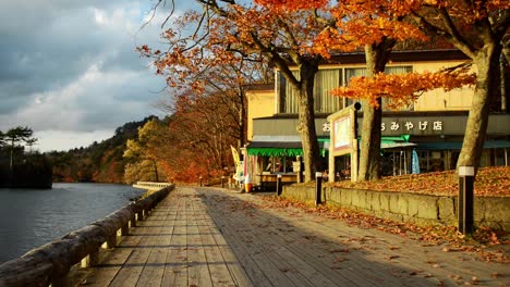 golden light on a walkway in japan at a lake with falling read autumn leaves