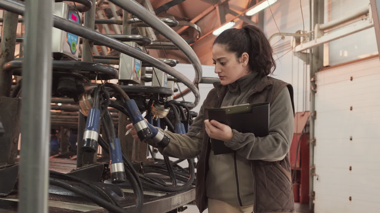 Mixed-Race Woman Checking Industrial Milking Machine
