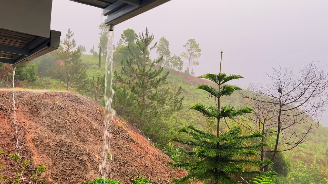 Rainwater streams from roof gutters into misty, forested hillside. Scenic, peaceful shot ideal for nature, weather, or cinematic transitions