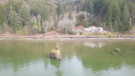 flying by solo tree on rock island in the bay with drone 1080p