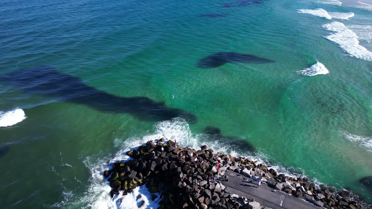 Vista panoramica del fiume Brunswick Head, onde che si infrangono su un molo roccioso con banchi di pesci esca nell'oceano - ripresa con drone