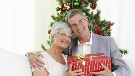Happy-Grandparents-holding-christmas-presents
