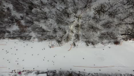 Skisport,-Winterschnee.-Bäume-Im-Wald-Mit-Show-Bedeckt.-Kaltes-Winterschneitwetter.-Skigebiet.-Ukraine,-Kiew