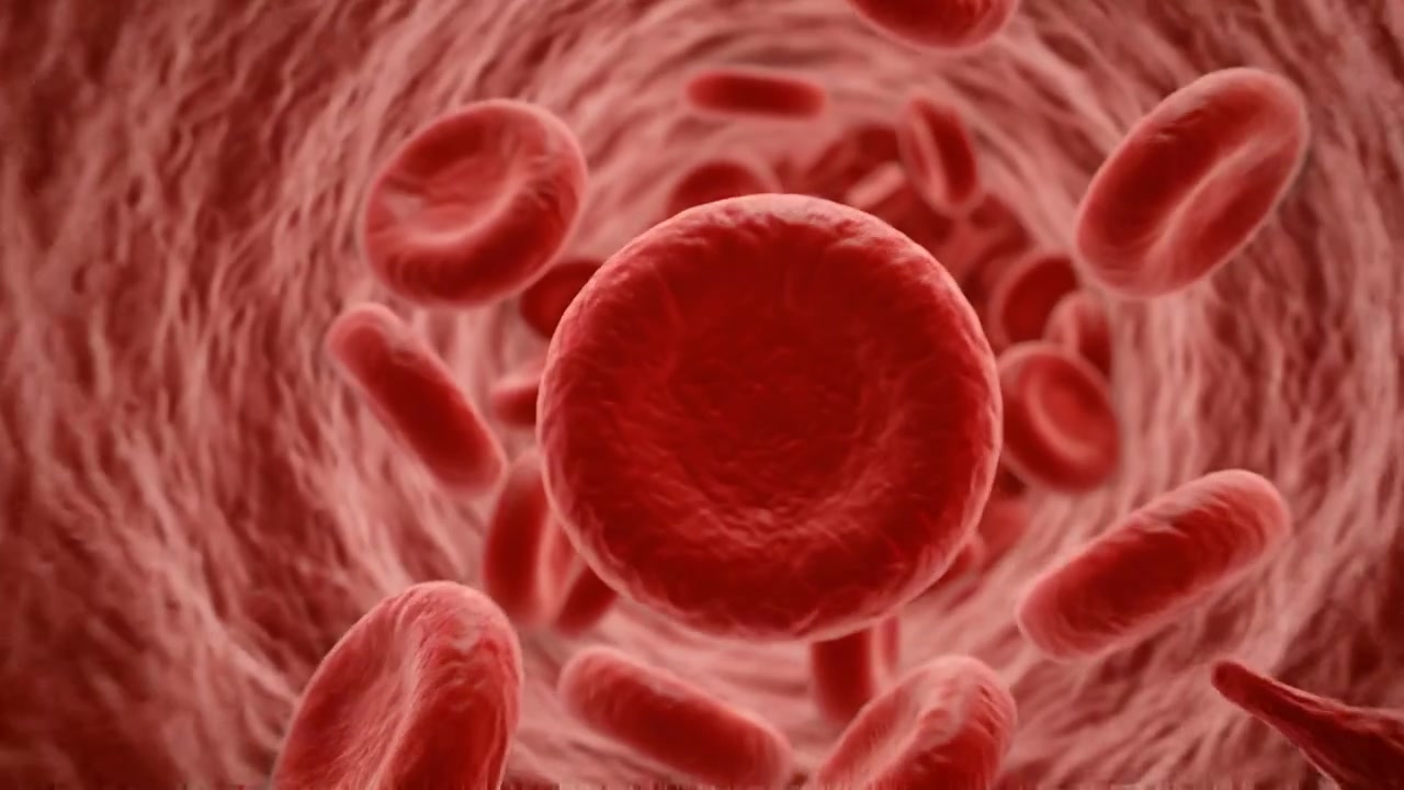 Microscopic View of Red Blood Cells Flowing Through Artery