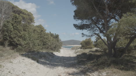 camino al mar en una playa sarda
