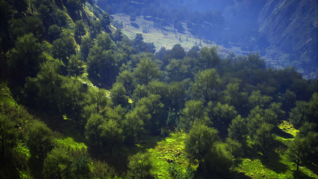Lush greenery blankets the valley under the morning sun in a serene landscape