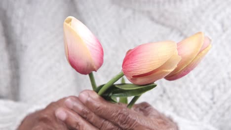 manos de ancianos sosteniendo un ramo de tulipanes