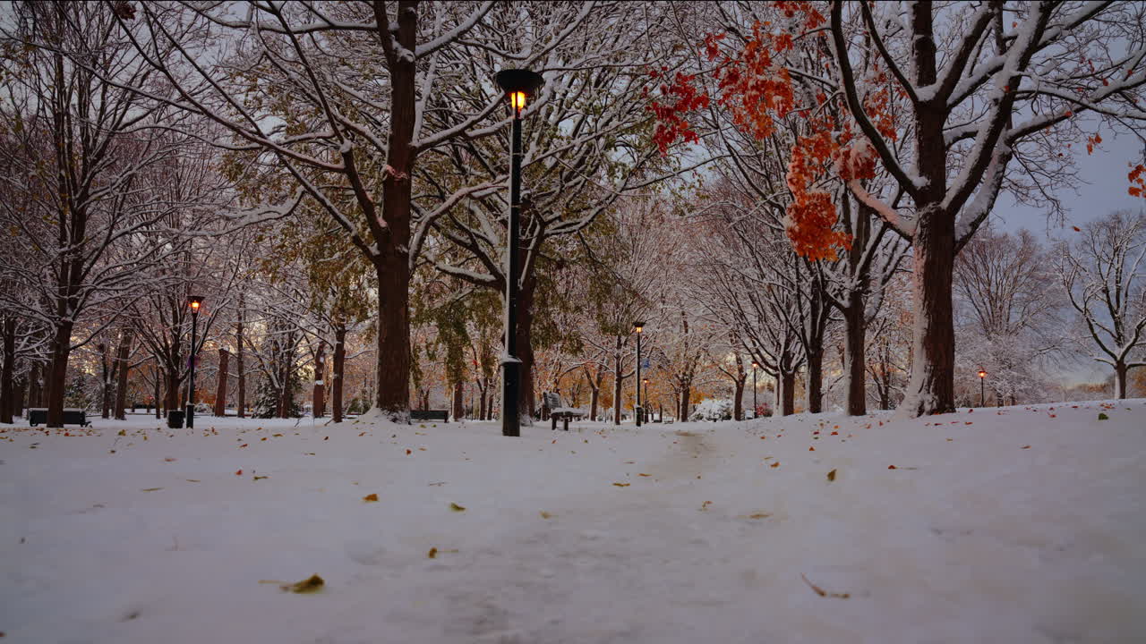 Peaceful snowy park during early winter, with autumn leaves still on the trees and warm lamp posts. Calm, cinematic atmosphere ideal for climate, seasonal, or mindfulness themes