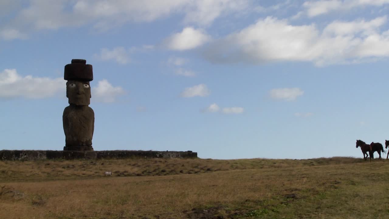los caballos deambulan cerca de una de las increíbles estatuas de las islas de pascua
