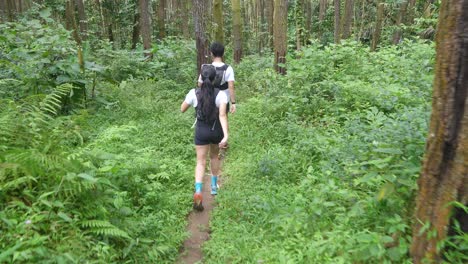 una pareja de senderistas en un bosque.