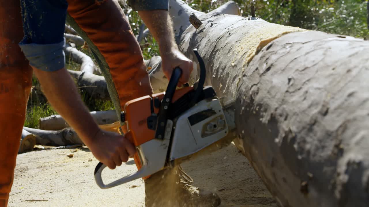 Lumberjack cutting tree with chainsaw 4k