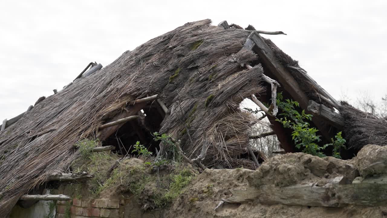 Ruined house with severely collapsed thatched roof in countryside
