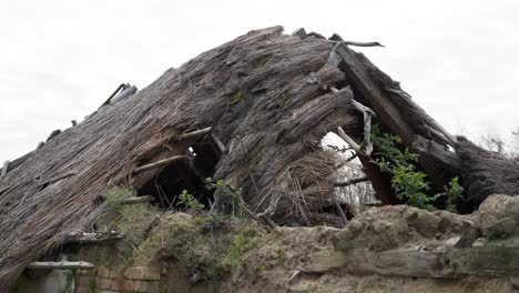 ruined house with severely collapsed thatched roof in countryside
