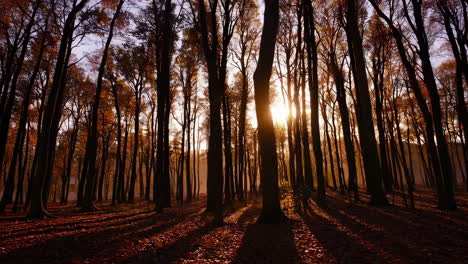 hora de oro en un bosque