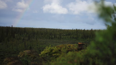 rainbow forms in sky above alaska wilderness