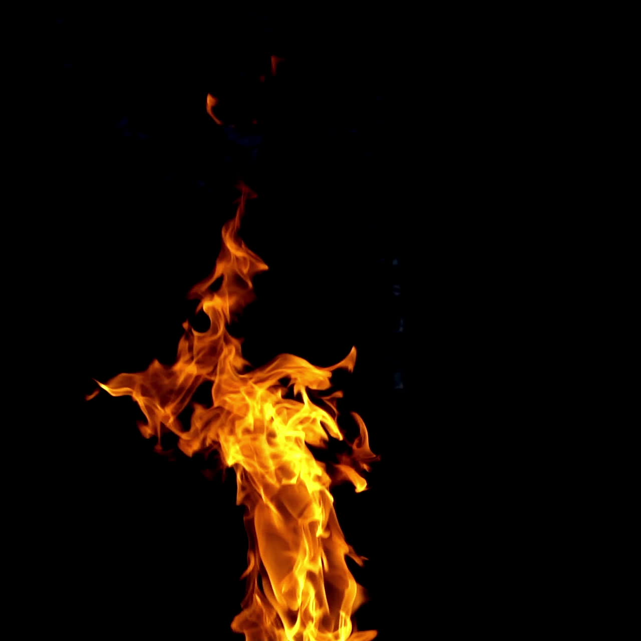 Burning fire. Fire flames on black background. Slow motion