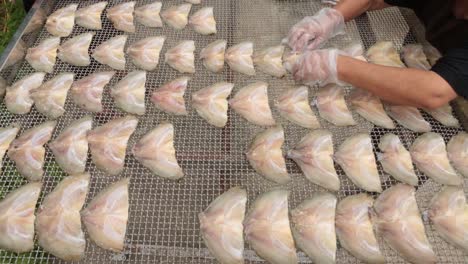 close up footage of fisherman making sun dried nile tilpia fish, natural food preservation