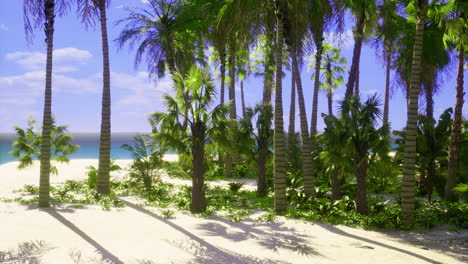 tropical beach landscape with palm trees and sandy shore under bright sky