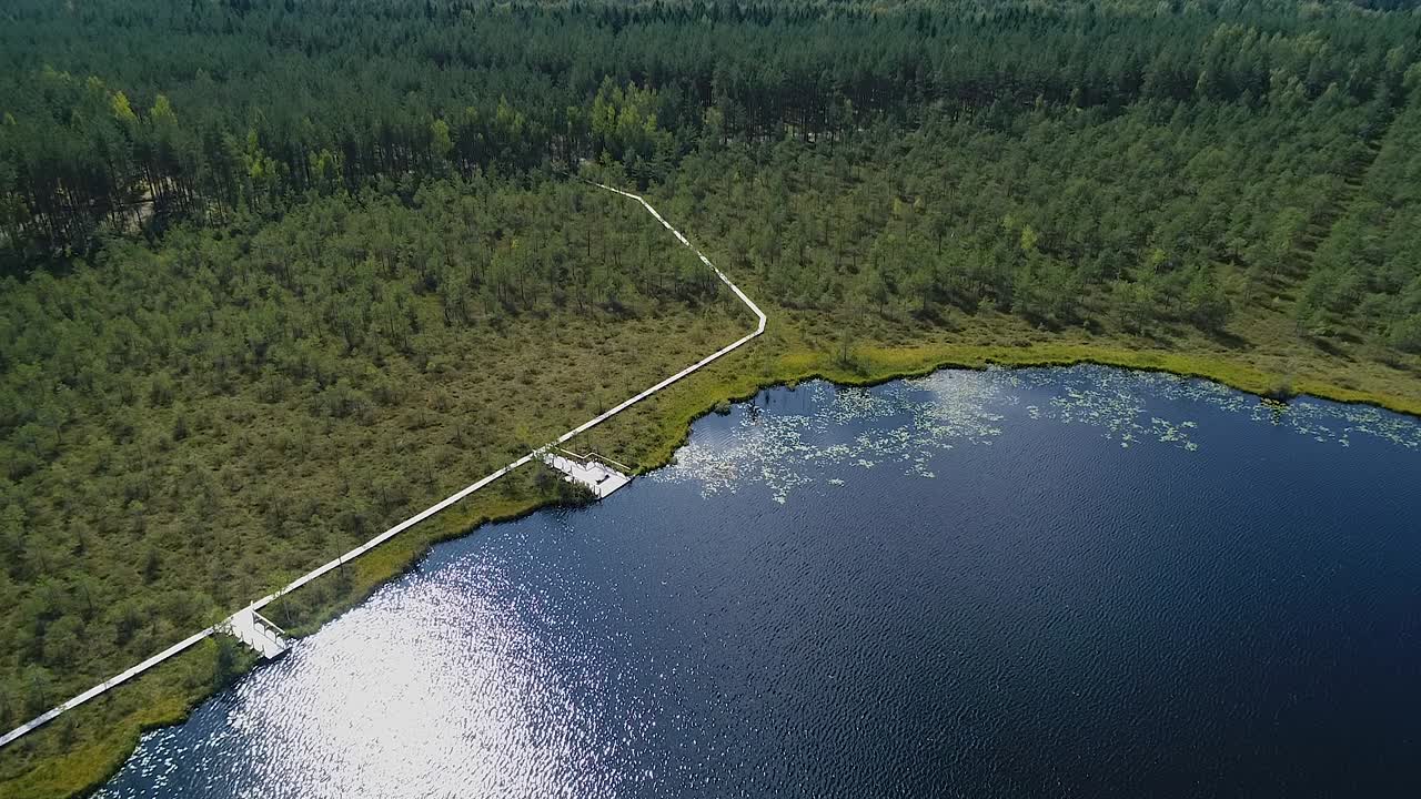 Højmose, vidvinkel fra luften i efterårsfarver.