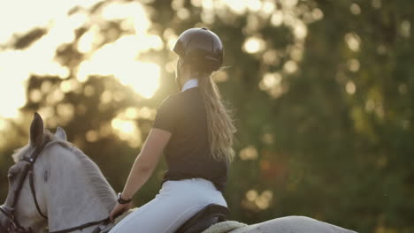 back view of rider on a horse. back view of a rider with a horse slow motion