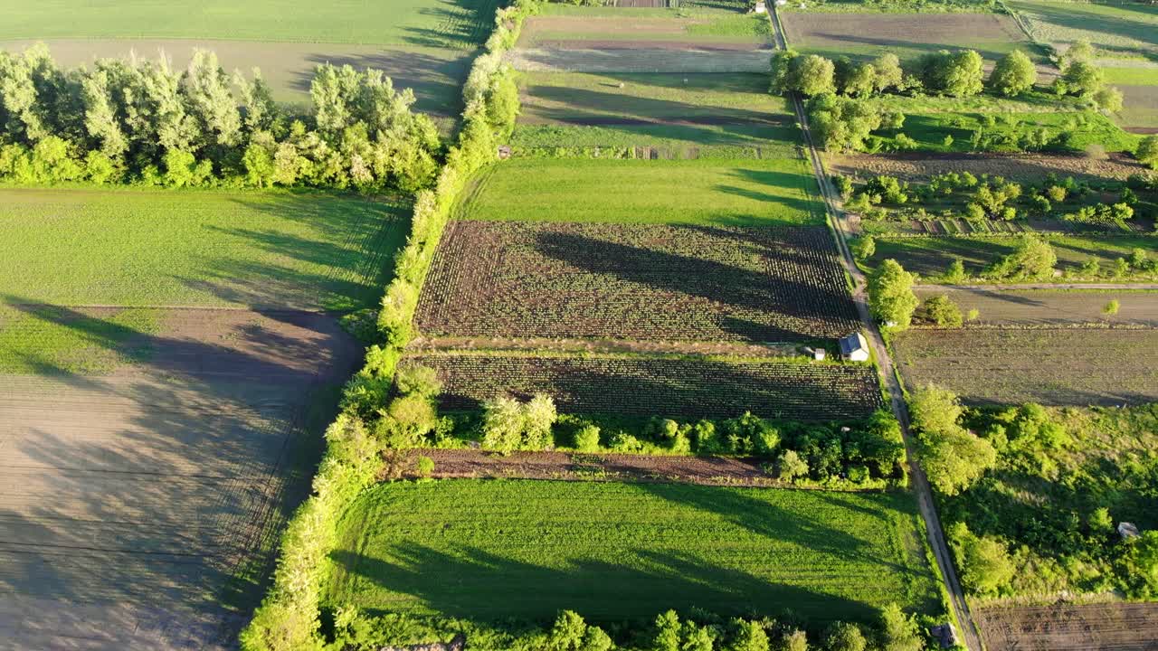 Fly above community gardens during sunset - drone shot