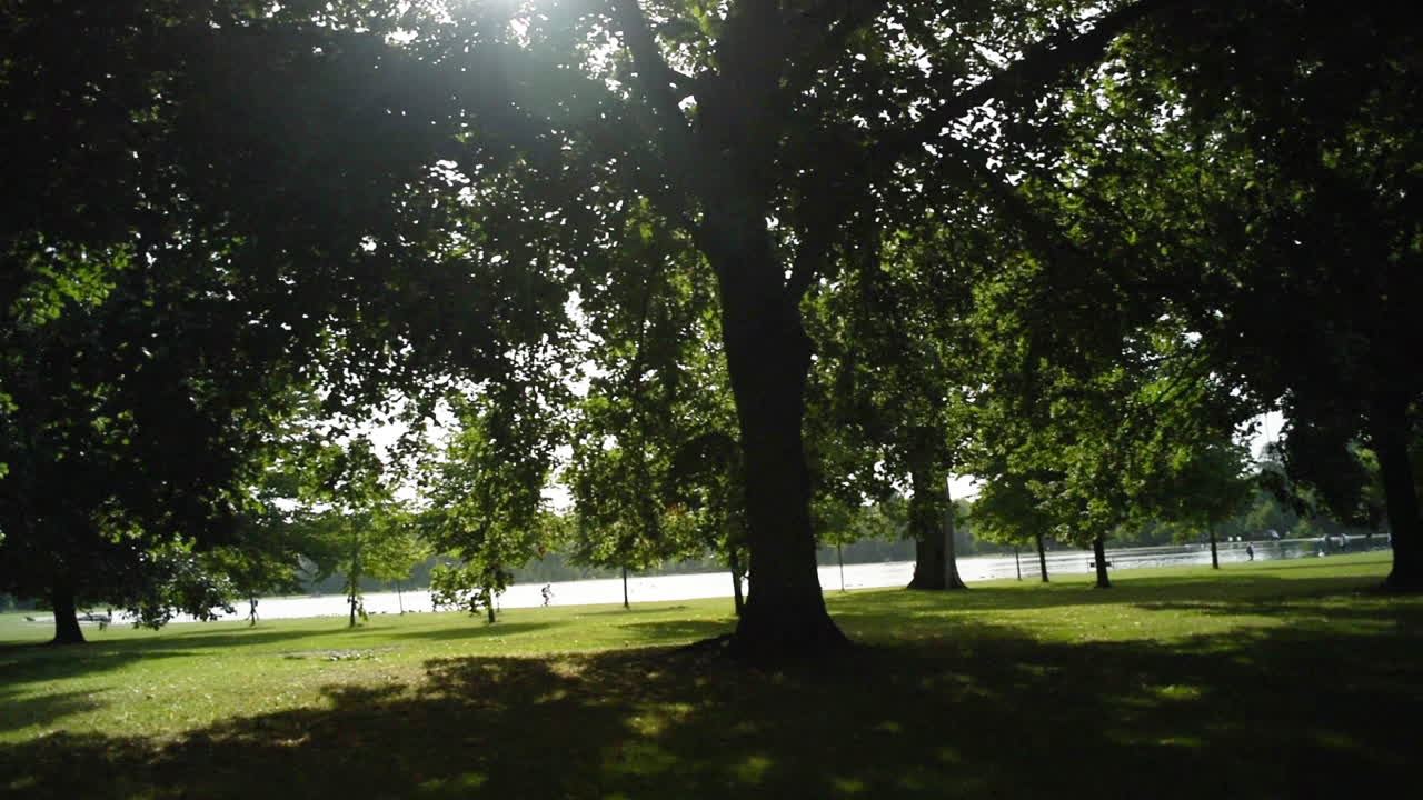The sun glares through the shaded leaves of majestic trees with cyclists riding around a lake in the background and the bright green grass catching the light in one of the beautiful parks in London
