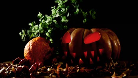calabaza de halloween con hoja de arce contra un fondo negro 4k