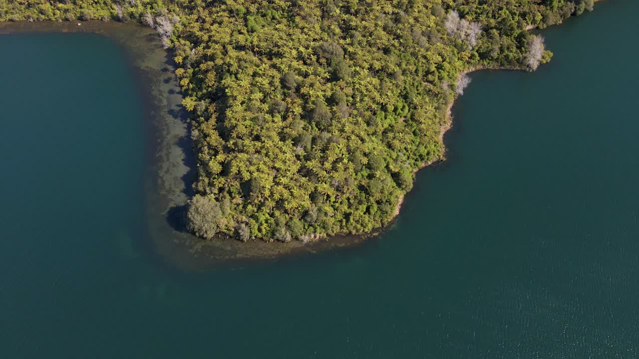 뉴질랜드의 푸른 호수에 니카우 야자수가 있는 곶